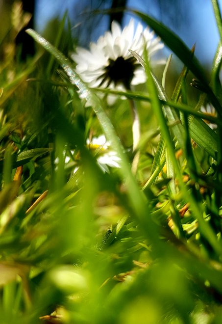 Ansje Visser:  www.ansvisser.nl