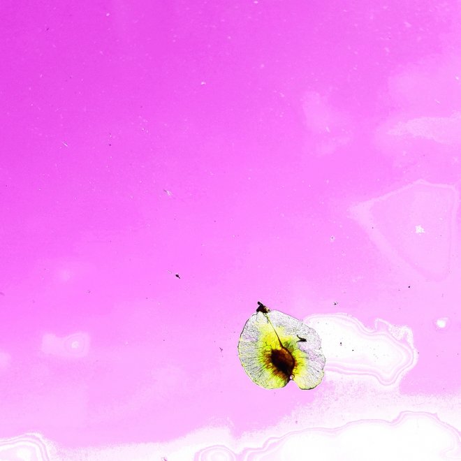 foto: Ansje Visser.     www.ansvisser.nl