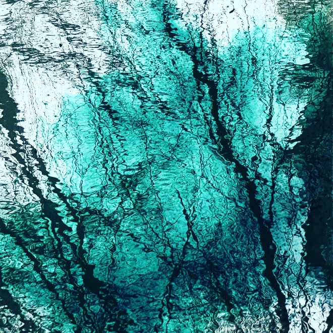 foto: Ansje Visser.         www.ansvisser.nl