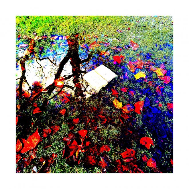 foto: Ansje Visser.         www.ansvisser.nl