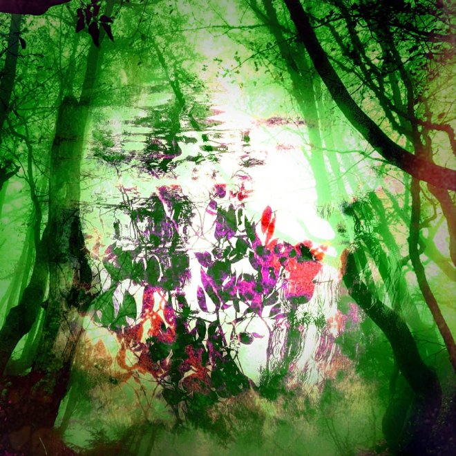 Foto: Ansje Visser.         www.ansvisser.nl