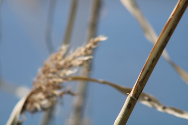 ROUWEN BIJ DEMENTIE: EEN VERLIES DAT NOOIT STOPT